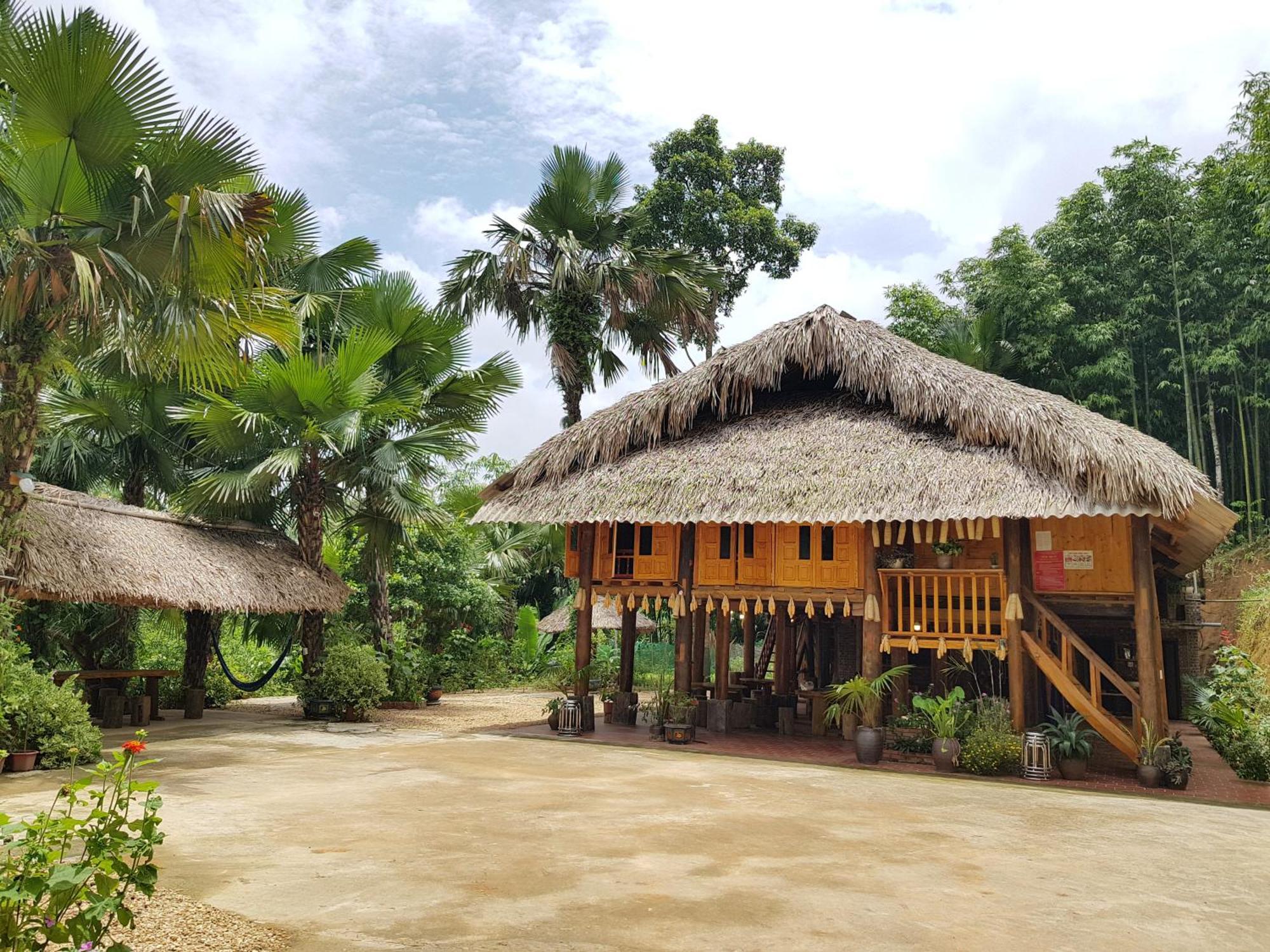 Vu Linh Palm House Homestay - Bungalow Yen Bai Exterior photo