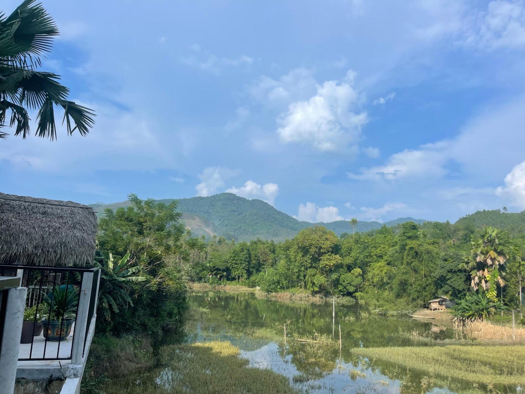 Vu Linh Palm House Homestay - Bungalow Yen Bai Exterior photo